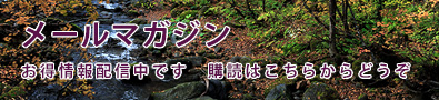 メールマガジン