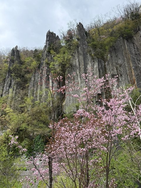 春の天人峡